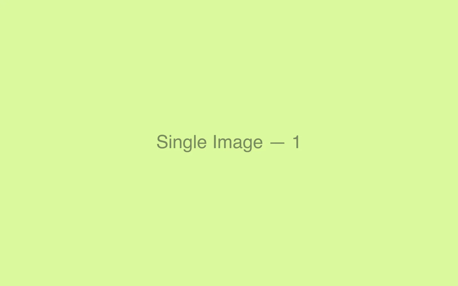 Single Image
